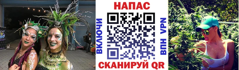 что такое наркотик  Любим  МАРИХУАНА ГИДРОПОН 